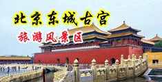 看了下面想要被草的视频中国北京-东城古宫旅游风景区